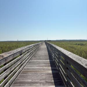 View of dock