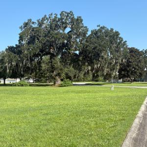 View of property's community with a yard and view