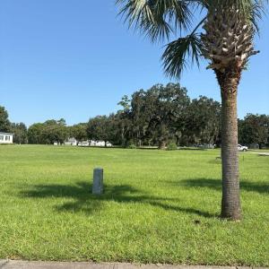 View of home's community with a lawn