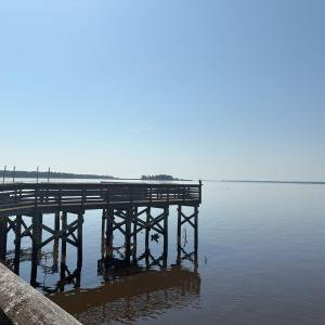 Dock with a water view