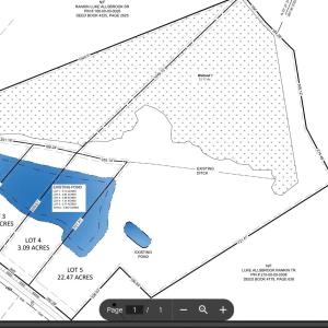 Photo #6 of TBD Lot 1 Highway 19, Loris, SC 9.0 acres