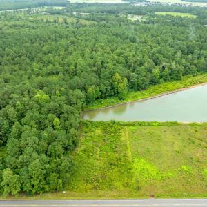 Drone / aerial view of a forest and a large body o