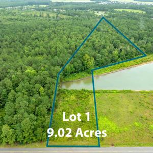 Aerial overview of property's location featuring a