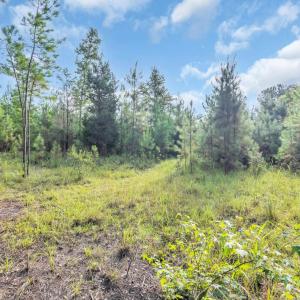 Photo #5 of TBD Creek Bend Rd, Georgetown, SC 5.0 acres