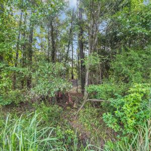 Photo #2 of TBD Creek Bend Rd, Georgetown, SC 5.0 acres