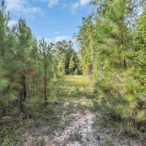 Photo #4 of TBD Creek Bend Rd, Georgetown, SC 5.0 acres