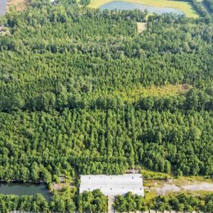 Photo #6 of TBD Creek Bend Rd, Georgetown, SC 5.0 acres