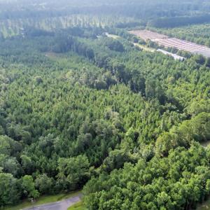 Photo #8 of TBD Creek Bend Rd, Georgetown, SC 5.0 acres