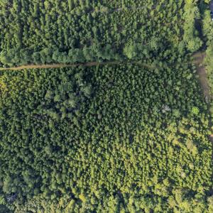 Photo #7 of TBD Creek Bend Rd, Georgetown, SC 5.0 acres