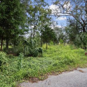 View of undeveloped land