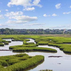 View of home's community with a water view and a r