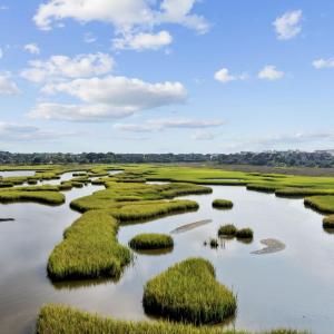 Drone / aerial view of a large body of water