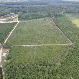 Photo #1 of 97.83 Acres-TBD Sugar Hill Fox Rd., Pamplico, SC 97.8 acres
