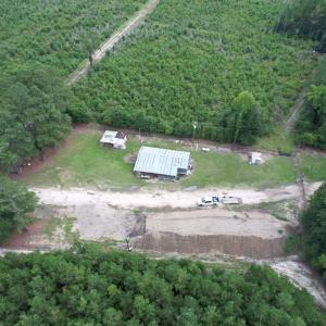 Photo #7 of 97.83 Acres-TBD Sugar Hill Fox Rd., Pamplico, SC 97.8 acres