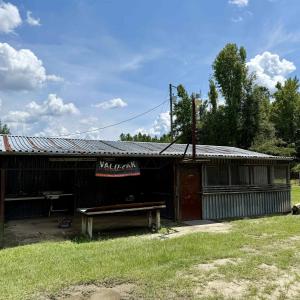 Photo #21 of 97.83 Acres-TBD Sugar Hill Fox Rd., Pamplico, SC 97.8 acres