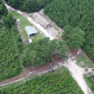 Photo #1 of 97.83 Acres-TBD Sugar Hill Fox Rd., Pamplico, SC 97.8 acres