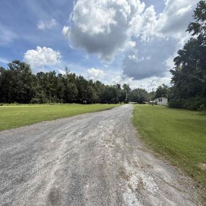 View of dirt / gravel road with a forest view
