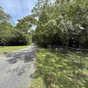 View of road featuring a view of trees