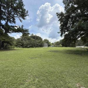 View of green lawn