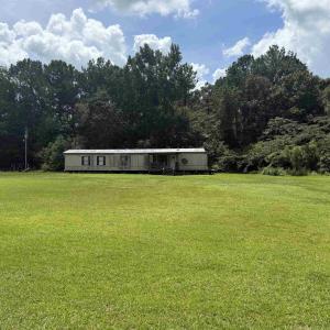 View of grassy yard