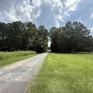 View of dirt / gravel road