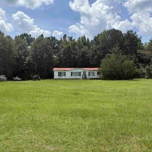 View of grassy yard
