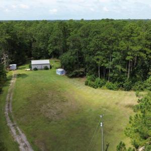 View of subject property featuring a forest