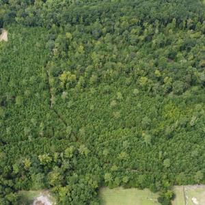 Photo #1 of TBD Lonzy Ln., Conway, SC 27.7 acres