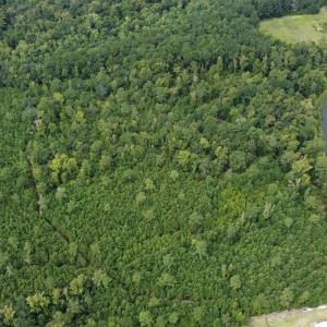 Photo #7 of TBD Lonzy Ln., Conway, SC 27.7 acres