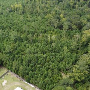 Photo #3 of TBD Lonzy Ln., Conway, SC 27.7 acres