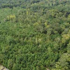 Photo #4 of TBD Lonzy Ln., Conway, SC 27.7 acres