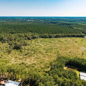 Bird's eye view of a forest
