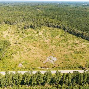 Drone / aerial view of a forest