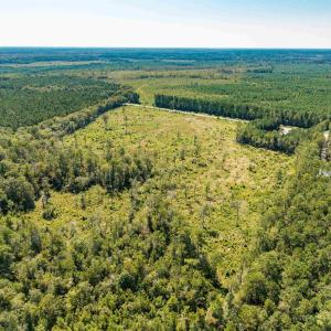 Bird's eye view of a heavily wooded area