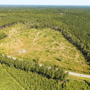 Drone / aerial view of a forest