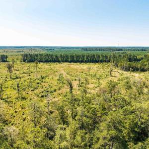 Drone / aerial view of a heavily wooded area