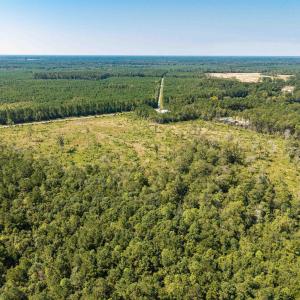 Drone / aerial view of a heavily wooded area