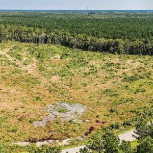 Aerial view of a heavily wooded area