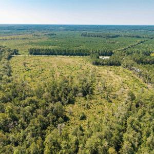 Aerial view of a heavily wooded area