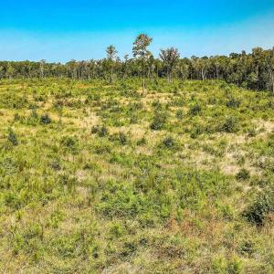 View of undeveloped land
