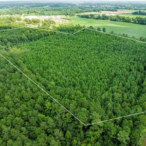 Photo #12 of TBD Joy Rd., Hemingway, SC 24.1 acres