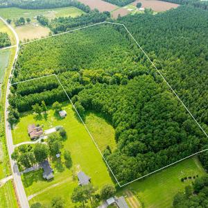 Photo #3 of TBD Joy Rd., Hemingway, SC 24.1 acres