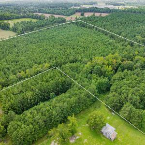 Photo #13 of TBD Joy Rd., Hemingway, SC 24.1 acres
