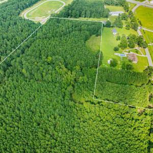 Photo #6 of TBD Joy Rd., Hemingway, SC 24.1 acres