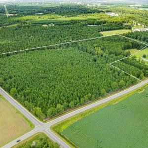 Photo #1 of TBD Joy Rd., Hemingway, SC 24.1 acres