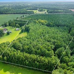 Photo #5 of TBD Joy Rd., Hemingway, SC 24.1 acres