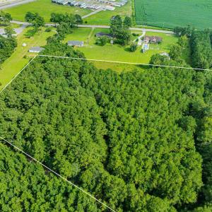 Photo #2 of TBD Joy Rd., Hemingway, SC 24.1 acres
