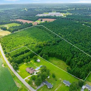 Photo #10 of TBD Joy Rd., Hemingway, SC 24.1 acres