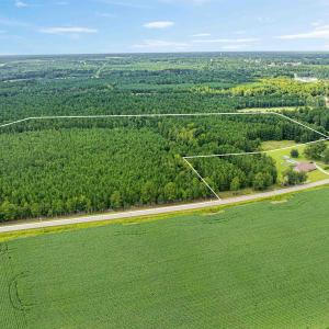Photo #4 of TBD Joy Rd., Hemingway, SC 24.1 acres