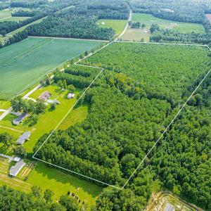 Photo #9 of TBD Joy Rd., Hemingway, SC 24.1 acres